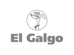 EL GALGO BYN